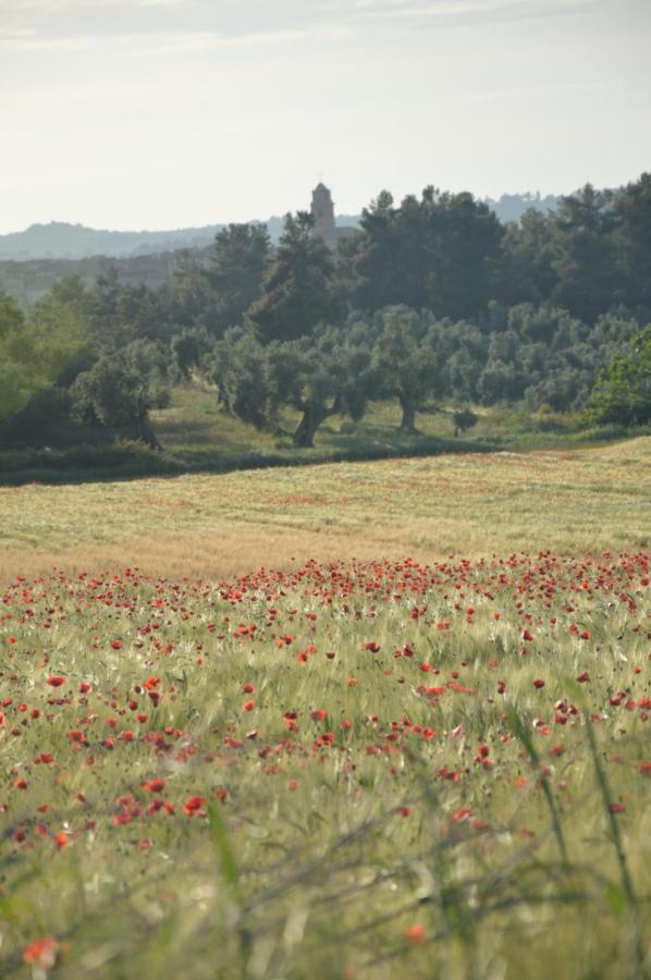 Country house Cal Gorro Arnes